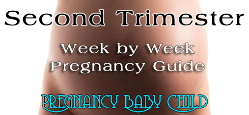 Second Trimester