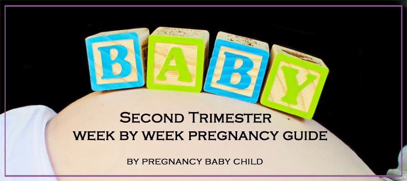 Second Trimester Week By Week Pregnancy Guide