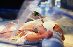 A Premature Baby's Survival Rate Increases Every Week the Baby Remains in the Womb
