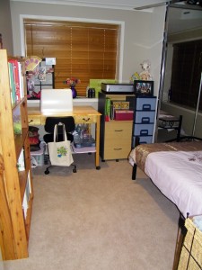 Spare Bedroom / Lissy's Space with New Carpet!