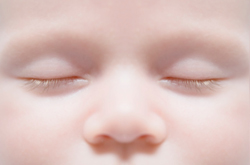 Your Baby's Eyelids Can Now Open