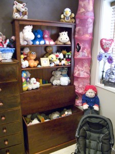 Addison's New Bookcase and Toy Box