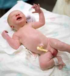 Newborn Baby Boy with Cord Clamped & Cut.